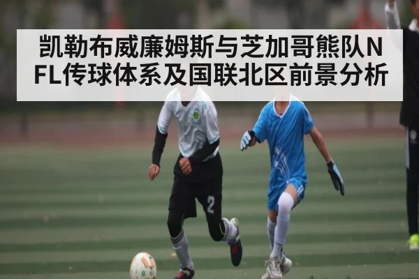 凯勒布威廉姆斯与芝加哥熊队NFL传球体系及国联北区前景分析